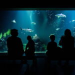 Gothenburg: Universeum Entry Ticket - Inside the Experience: What to Expect