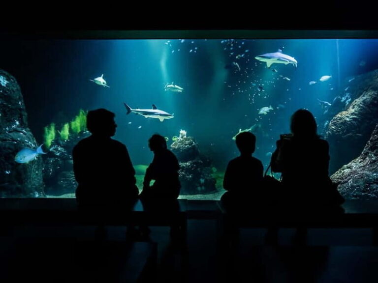 Gothenburg: Universeum Entry Ticket - Inside the Experience: What to Expect