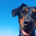 Gozo Unveiled - Hiking in Gozo - Final Thoughts: Is It Worth It?