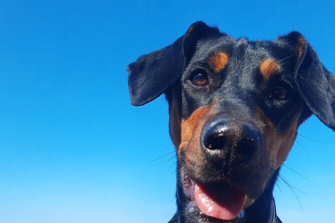 Gozo Unveiled - Hiking in Gozo - Final Thoughts: Is It Worth It?