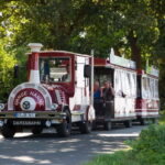 Graal-Müritz : Tour of the Baltic Sea health resort - A Closer Look at the Tour Experience