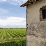 Grado: Journey into Ceramics with Tour & Wine Tasting - Who Should Consider This Tour?