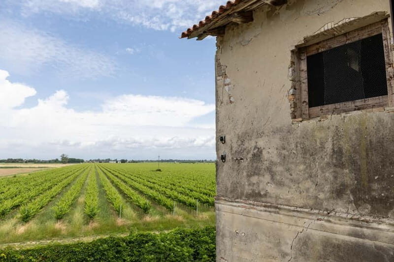 Grado: Journey into Ceramics with Tour & Wine Tasting - Who Should Consider This Tour?