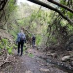 Gran Canaria: excursion to the Barranco de los Cernícalos - Who Is This Tour Perfect For?