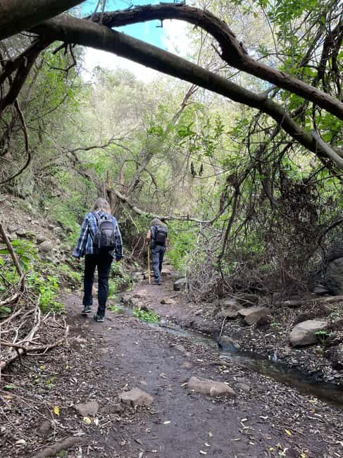 Gran Canaria: excursion to the Barranco de los Cernícalos - Who Is This Tour Perfect For?