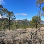 Gran Canaria: excursion to the Ventana del Nublo - The Cultural and Natural Highlights