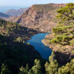 Gran Canaria: Island Highlights Tour with Optional Lunch - Why This Tour Offers Great Value