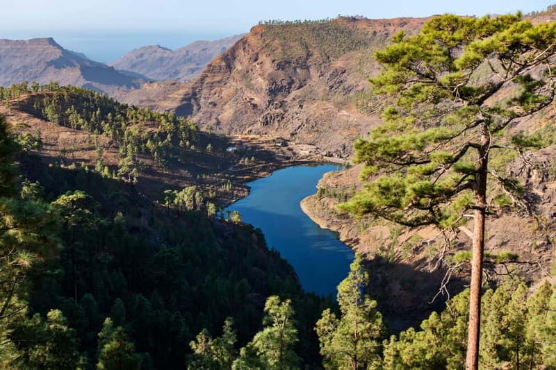 Gran Canaria: Island Highlights Tour with Optional Lunch - Why This Tour Offers Great Value