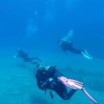 Gran Canaria: PADI Open Water Diver Course - What to Expect: A Step-By-Step Breakdown