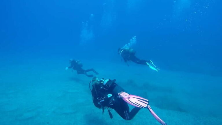 Gran Canaria: PADI Open Water Diver Course - What to Expect: A Step-By-Step Breakdown
