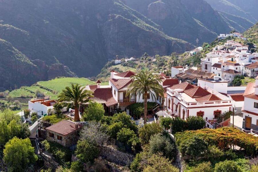 Gran Canaria: Private Guided Full-Day Tour - Discovering Gran Canarias Inland Charm