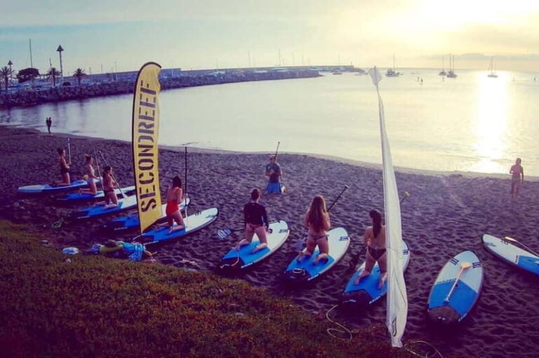 Gran Canaria : Stand Up Paddle (SUP) course, Arguineguín. 2 hours. - The Itinerary Breakdown: What You Can Expect