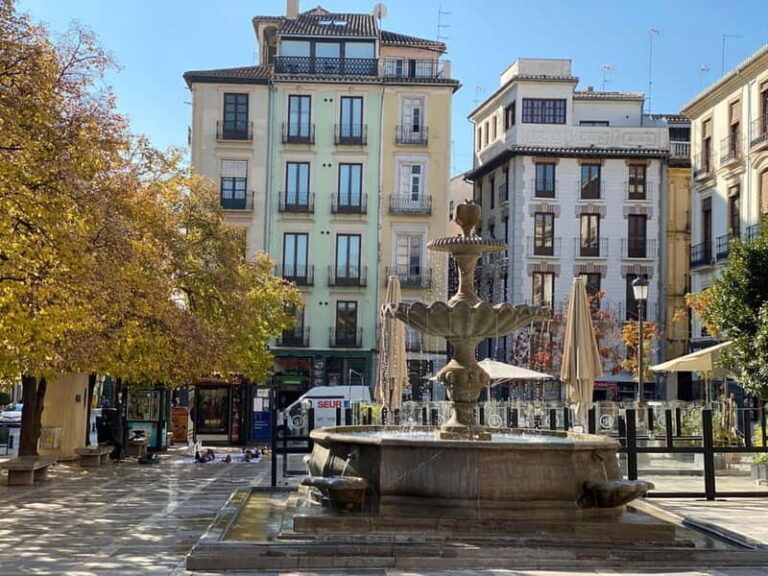 Granada: Arabic Monuments Guided Tour - Practical Details and Value