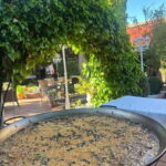 Granada: Dinner with Paella on a Terrace in the Albayzín and Live Flamenco - The Setting: A Traditional Albaicín Garden