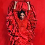 Granada: Flamenco Dance Class for Beginners at the Flamenco Theater - The real value behind the price