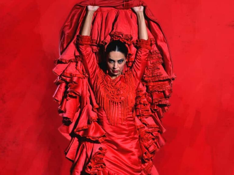 Granada: Flamenco Dance Class for Beginners at the Flamenco Theater - The real value behind the price