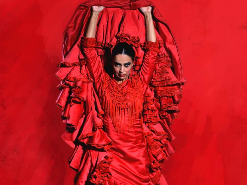 Granada: Flamenco Dance Class for Beginners at the Flamenco Theater - The real value behind the price