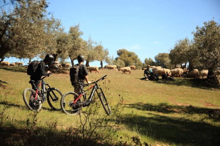 Granada: Nature, Wildlife and Authentic Villages E-bike Tour - The Itinerary Breakdown