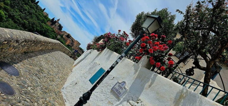 Granada: "Street Art & The Caves" Unique Guided Walking Tour - The Value & Practicalities