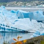 Grand Seward Ocean and Icebergs 1.5 hours 2 Landings Seward - Who Is This Tour Best For?