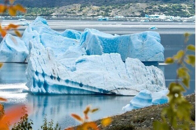 Grand Seward Ocean and Icebergs 1.5 hours 2 Landings Seward - Who Is This Tour Best For?