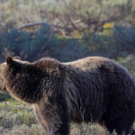 Grand Teton: Private Guided Tour (Sunset) - Final Thoughts: Who Is This Tour For?