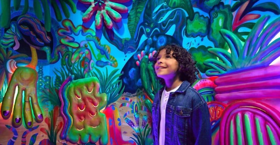 Grapevine: Meow Wolf The Real Unreal Ticket - Why This Experience Is Worth Considering