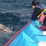 Gray Whale Watching in Bahia Magdalena - Who Should Consider This Tour?