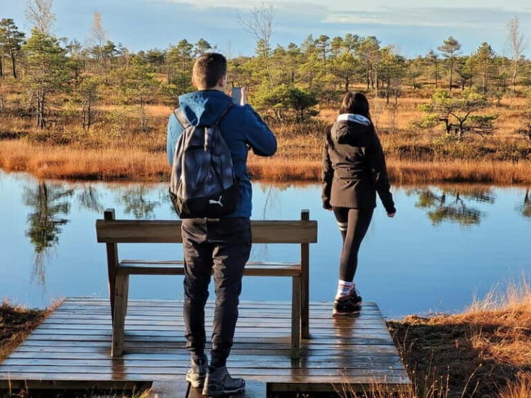 Great emeri Bog & Swamp Forest Hiking Adventure - Why This Tour Offers Great Value