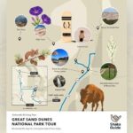 Great Sand Dunes Self Guided National Park Audio Tour - Why This Tour Might Be Perfect for You
