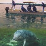 Great Saving: Sian Kaan Tour-expedition - Transportation and Timing