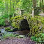 Great Smoky Mountains: Elkmont Historic District Tour - Transportation, Timing, and Group Size