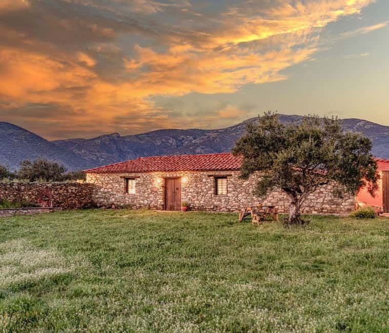 Greece in a Drop: Olive Grove Walk and Olive Oil Tasting - The Itinerary Breakdown