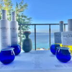 Greek Olive Oil Tasting Experience in Halkidiki - The Experience in Detail: A Closer Look