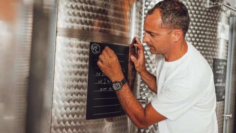 Greve in Chianti: Tour and tasting of organic Chianti Classico and Tuscan snacks - The Details of the Experience