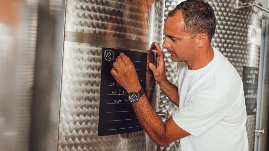 Greve in Chianti: Tour and tasting of organic Chianti Classico and Tuscan snacks - The Details of the Experience