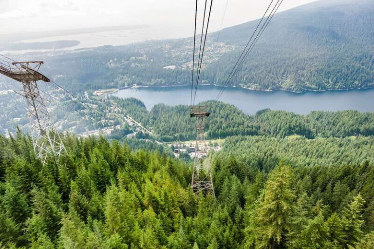 Grouse Mountain, Capilano Bridge & Fish Hatchery Tour - An In-Depth Look at the Tour Experience