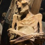 Guanajuato: Culture & History Private Guided Tour - Day Trip - The Authentic Guanajuato Experience