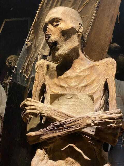 Guanajuato: Culture & History Private Guided Tour - Day Trip - The Authentic Guanajuato Experience