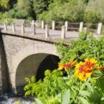 Güejar Sierra: History and food of Sierra Nevada - Who Will Love This Tour?