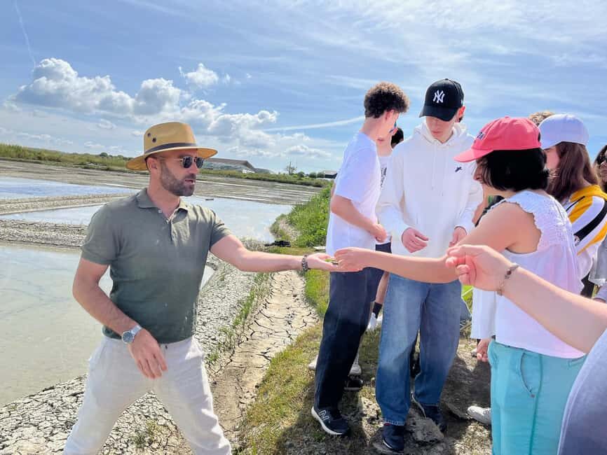 Guérande Salt Marshes tour - The Landscape and Why It Matters