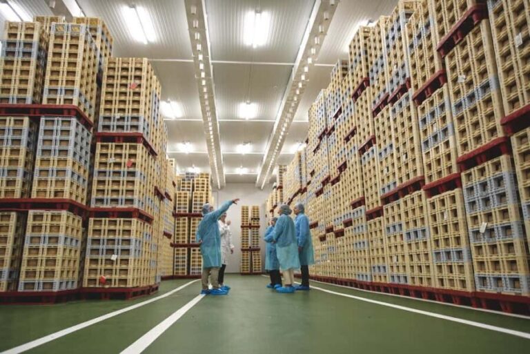 Guide Visit to the old Cheese Factory - Why This Tour Offers Value