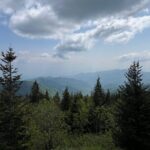 Guided Art Adventure Hikes in Great Smoky Mountains Natl Park - Deep Dive into the Experience: Why It Works