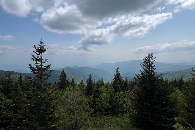 Guided Art Adventure Hikes in Great Smoky Mountains Natl Park - Deep Dive into the Experience: Why It Works