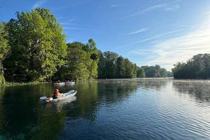 Guided Clear Kayak Tours on the Silver River - Value and Practicalities