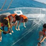 Guided Day Tour in Cozumel on a Clear Boat and Electric Scooter - Authentic Experiences from Reviews