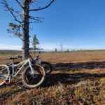 Guided Fatbike Tour in Ivalo - Final thoughts: Who is this tour best for?