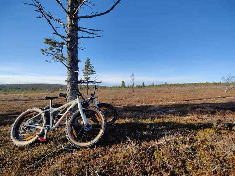 Guided Fatbike Tour in Ivalo - Final thoughts: Who is this tour best for?
