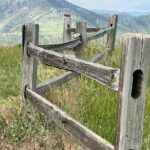 Guided Hiking Adventures in Colorado with Local Treats - The Practicalities: Price, Duration, and Value