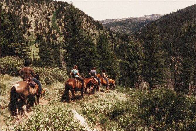 Guided Horseback Trail Rides - Practical Details